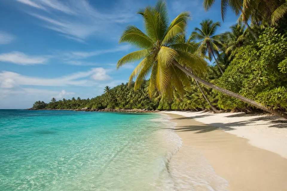 Pristine tropical beach with turquoise water and palm trees